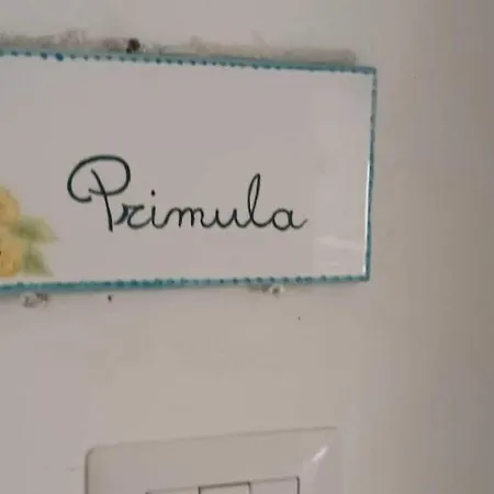 Il Glicine - Primula