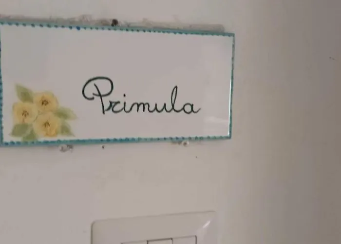 Il Glicine - Primula